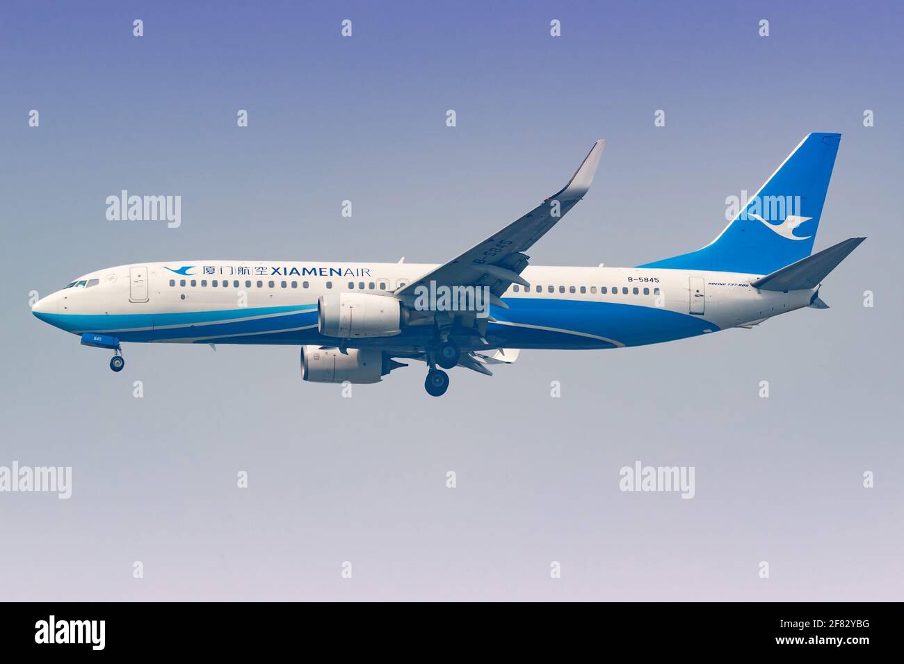 Bangkok, Thailandia – 24. Gennaio 2018: Xiamen Air Boeing 737 all'aeroporto di Bangkok-Suvarnabhumi (BKK) in Thailandia. Boeing è una base di costruttori di aeromobili Foto Stock