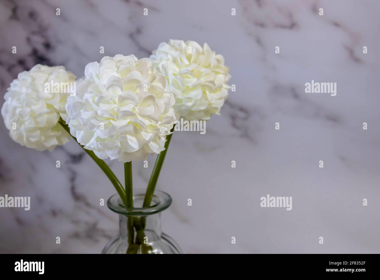 Tessuto bianco Fiori con vaso di vetro a sinistra dell'immagine su sfondo marmorizzato, con spazio per la copia Foto Stock