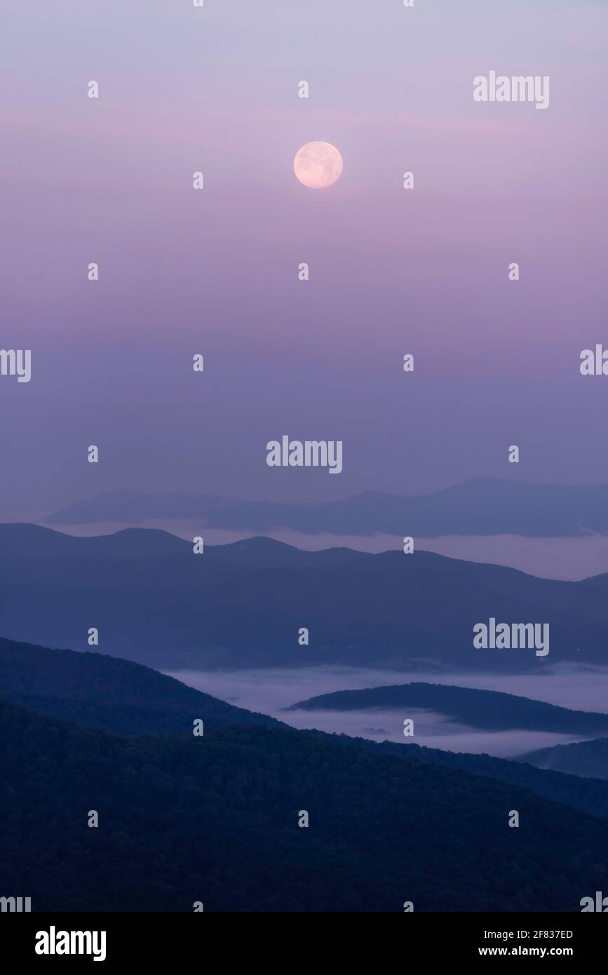 Colori pastello sulle valli nebbie del Parco Nazionale di Shenandoah mentre la luna piena tramonta durante un'alba estiva. Foto Stock