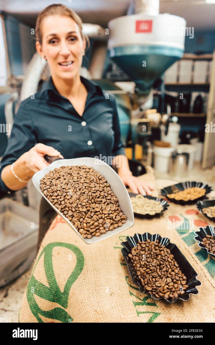 Diversi tipi di chicchi di caffè nella roastery Foto Stock