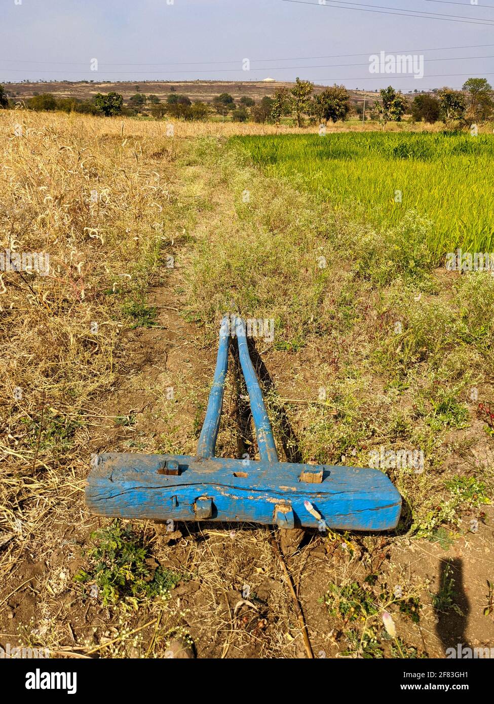 Vista dall'alto dell'aratura in legno dell'agricoltore indiano in verticale scatto Foto Stock