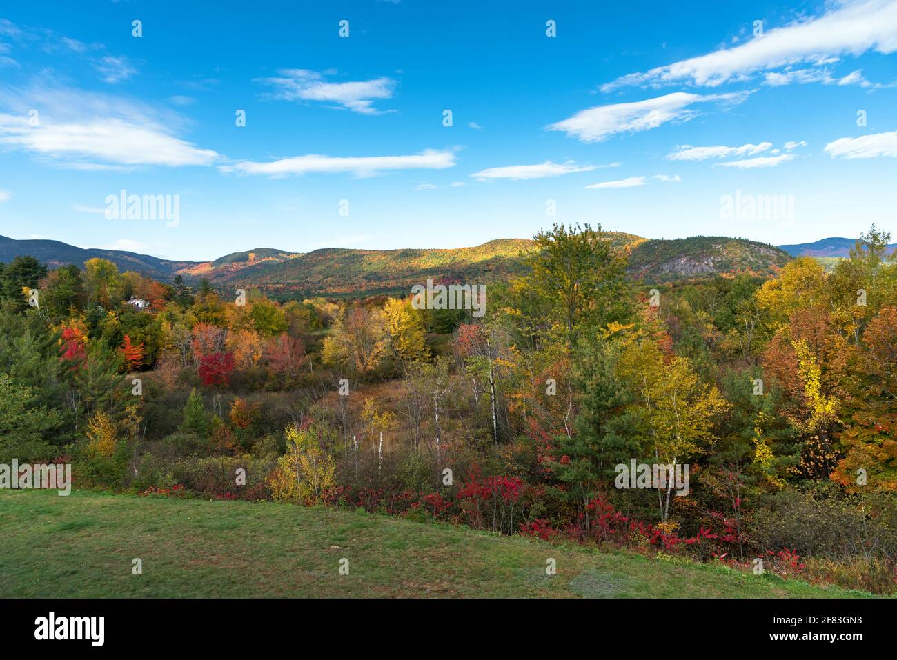 Paesaggio di montagna coperto di foreste decidui alla cima di caduta fogliame in un giorno di autunno chiaro Foto Stock