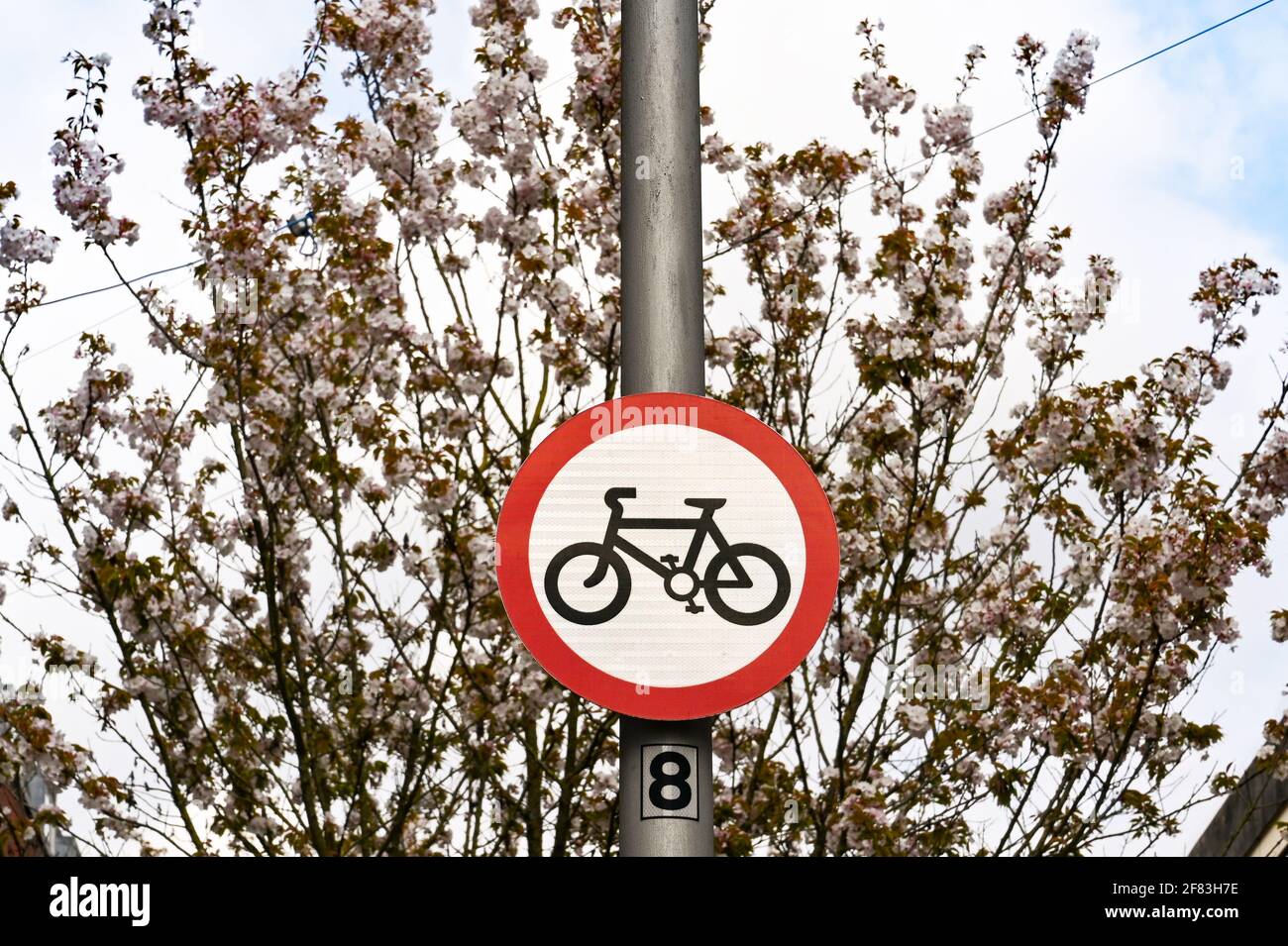 Cartello 'No cycling' su un palo di metallo in una zona pedonale di un centro della città. Nessuna gente. Foto Stock