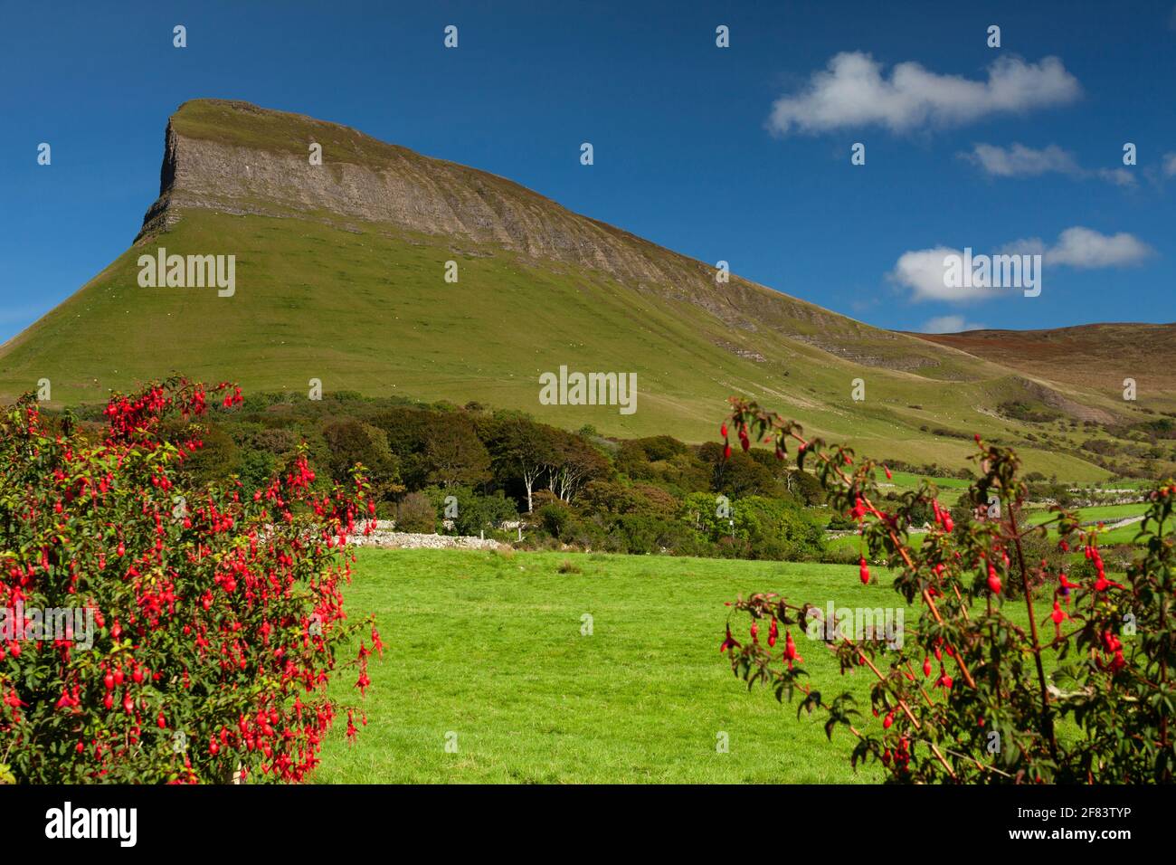 Montagna di Benbulben sulla strada selvaggia atlantica in Sligo in Irlanda Foto Stock