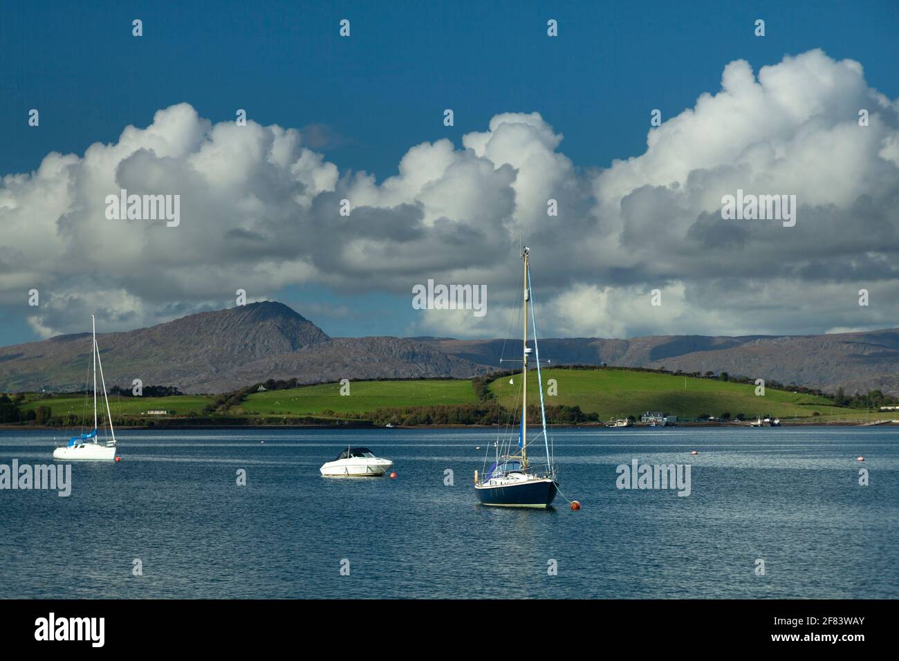 Isola di Whiddy e barche nella baia di Bantry sul selvaggio Atlantic Way a West Cork in Irlanda Foto Stock