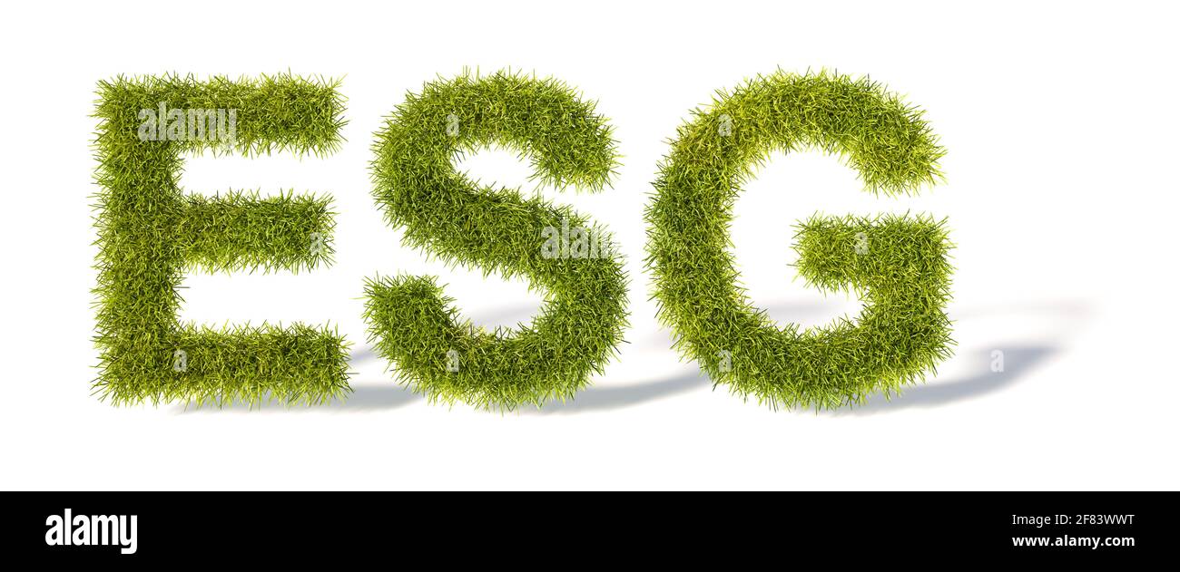 Verde erba lettere ESG isolato e bianco con ombre. Concetto per gli standard ESG (Environment Social Governance) nell'investimento. Foto Stock