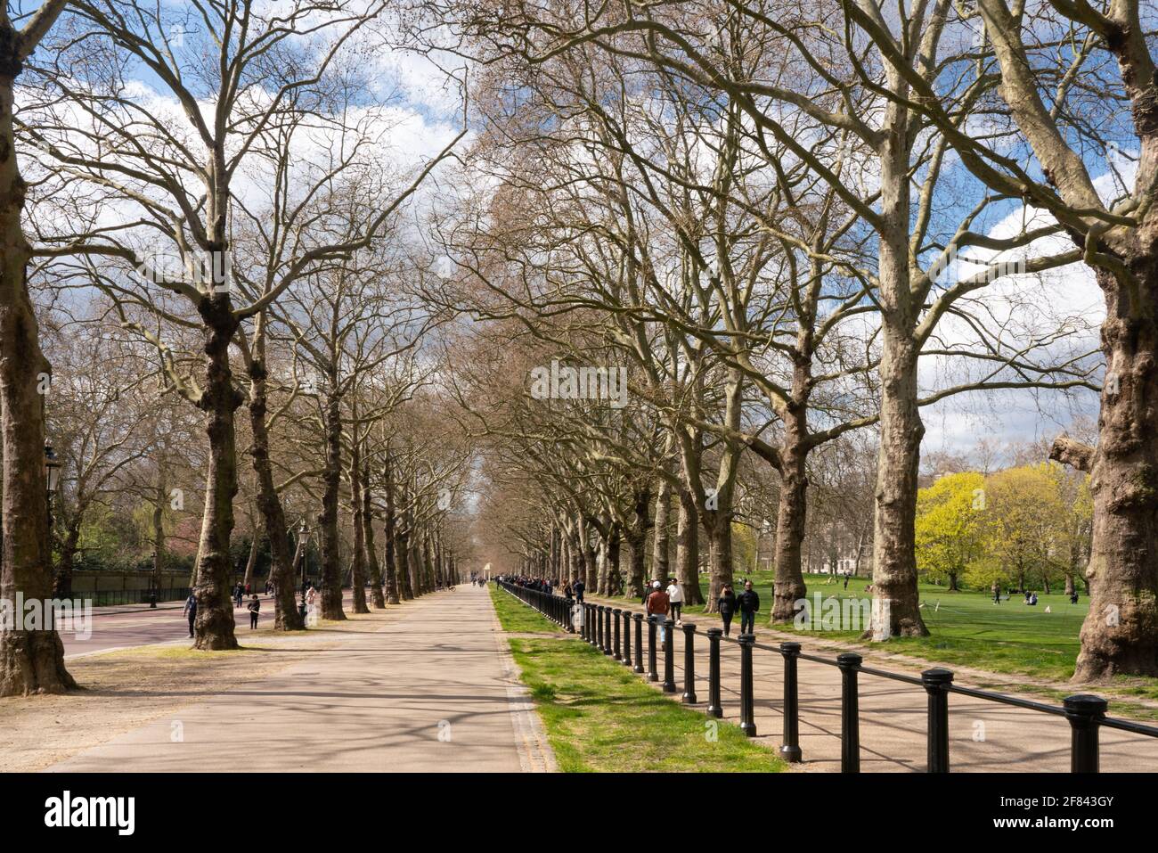 Parco verde Foto Stock