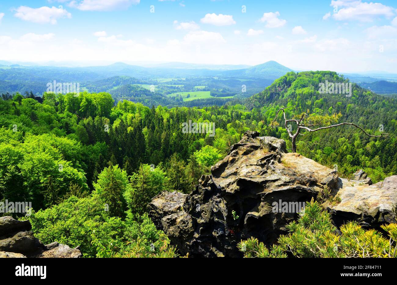 Bellissimo paesaggio in Boemia Svizzera, Repubblica Ceca. Foto Stock