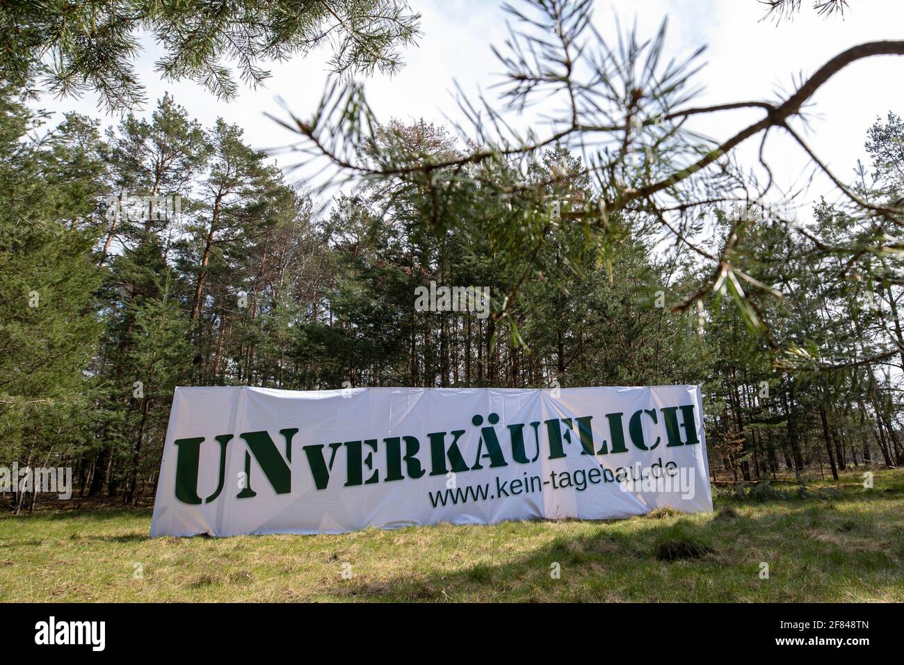 Schleife, Germania. 11 Apr 2021. Un banner con l'iscrizione 'UNVERKÄUFLICH www.kein-tagebau.de' è allestito nella foresta vicino a Schleife. L'azione di protesta 'Unverkäuflich' della rete ambientale di Grüne Liga a Schleife, nei pressi della miniera d'opencast Nochten, nel distretto di Görlitz, è diretta contro la minaccia del dragaggio di LEAG (Lausitz Energie Bergbau AG). Credit: Daniel Schäfer/dpa-Zentralbild/dpa/Alamy Live News Foto Stock