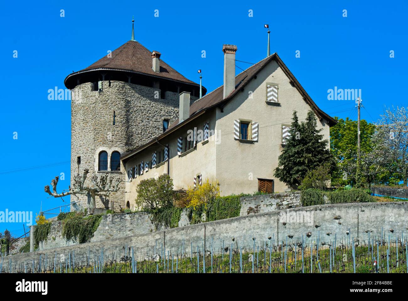 Castello di Bertholod, Chateau de Bertholod, Lutry, Vaud, Svizzera Foto Stock