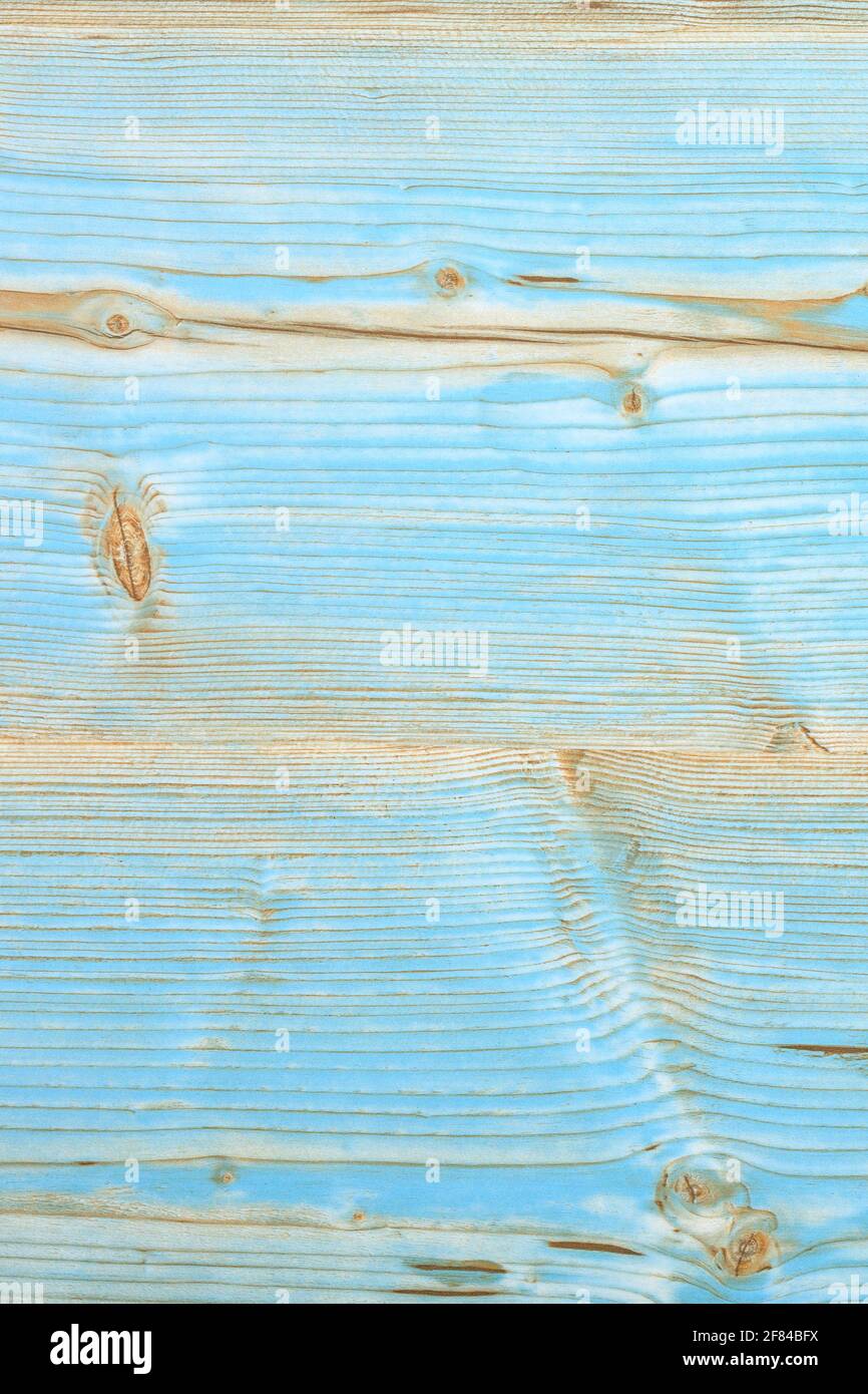 Delicato colore blu-beige della struttura lignea di vecchie tavole dipinte con nodi e strisce orizzontali. Foto Stock
