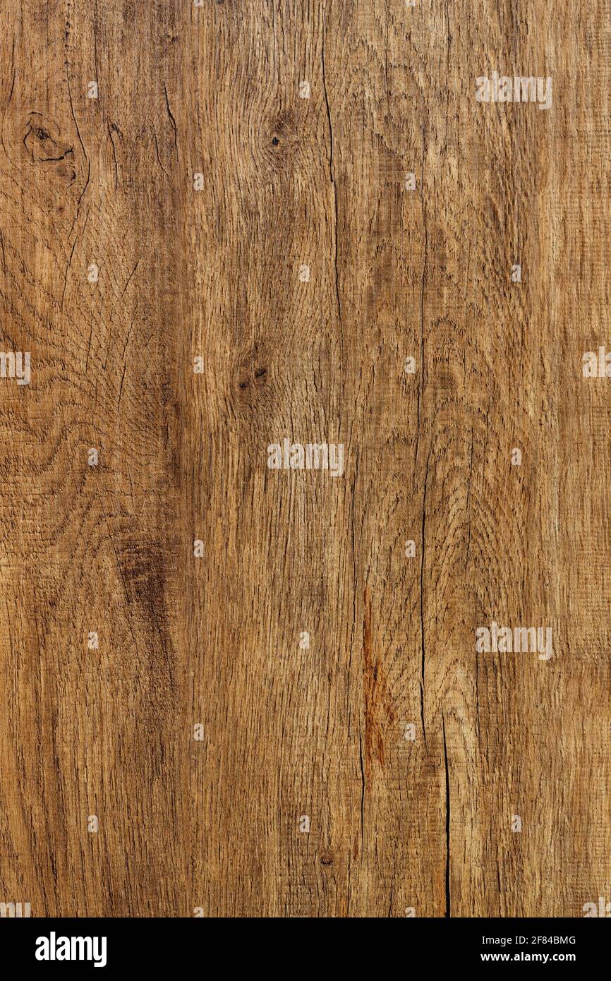 Bel disegno di vecchie fibre di legno di quercia con crepe, macchie con strisce verticali. Immagine verticale. Foto Stock