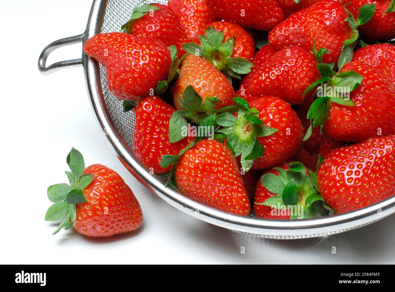 Fragole in setaccio (Fragaria x anassa), copia di carbonio Foto Stock