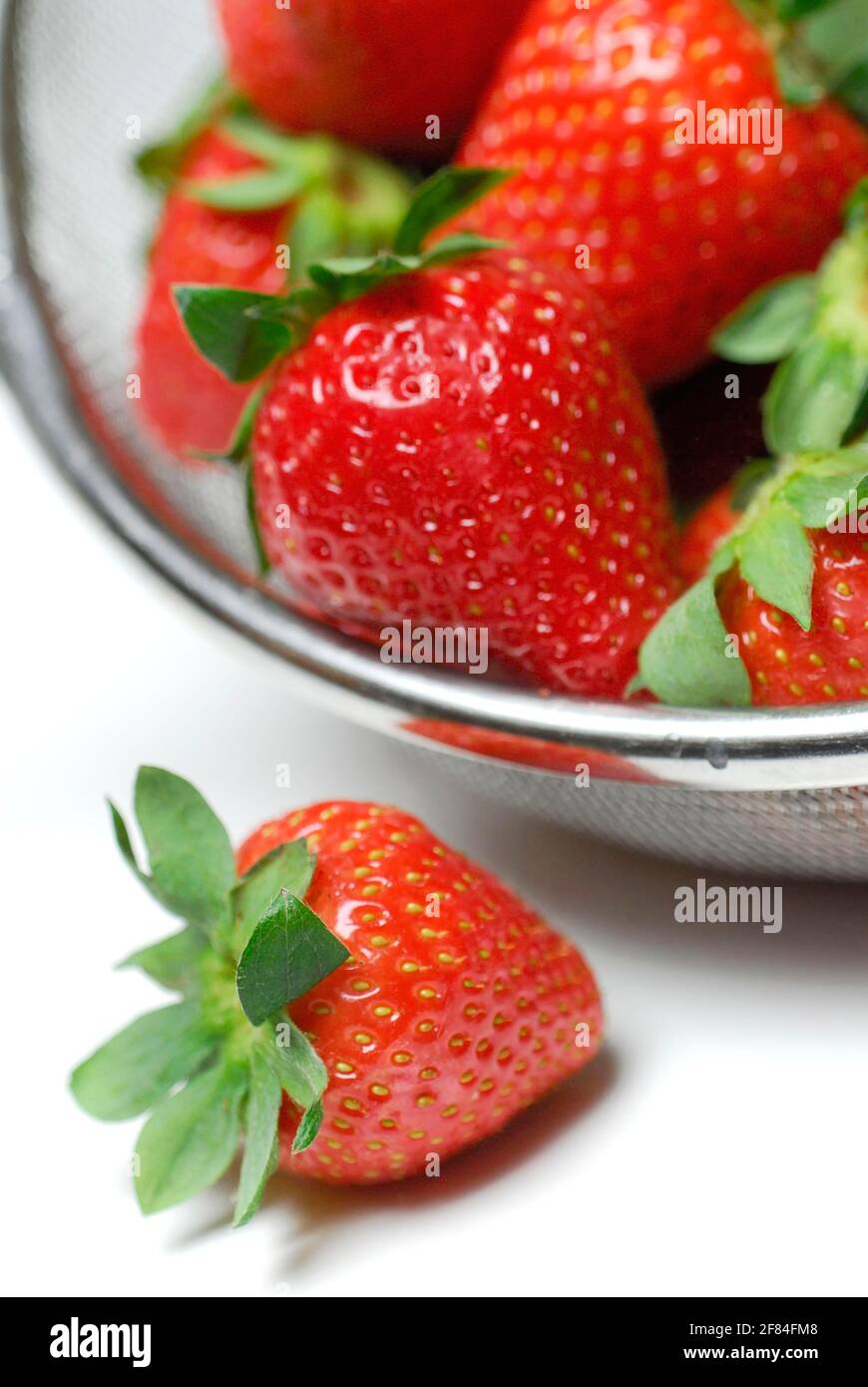 Fragole in setaccio (Fragaria x anassa), copia di carbonio Foto Stock