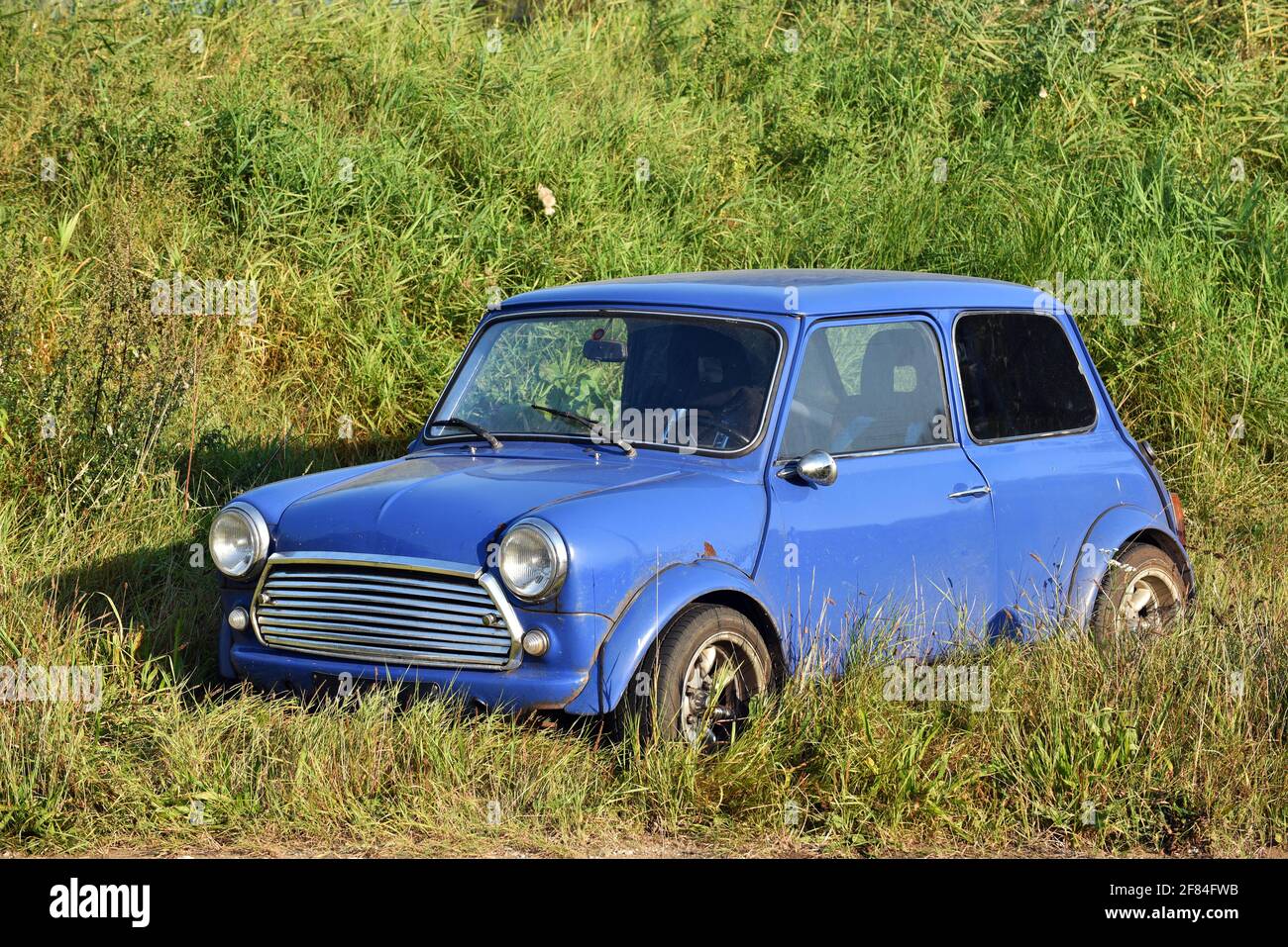 Piccola auto blu parcheggiata in erba Foto Stock