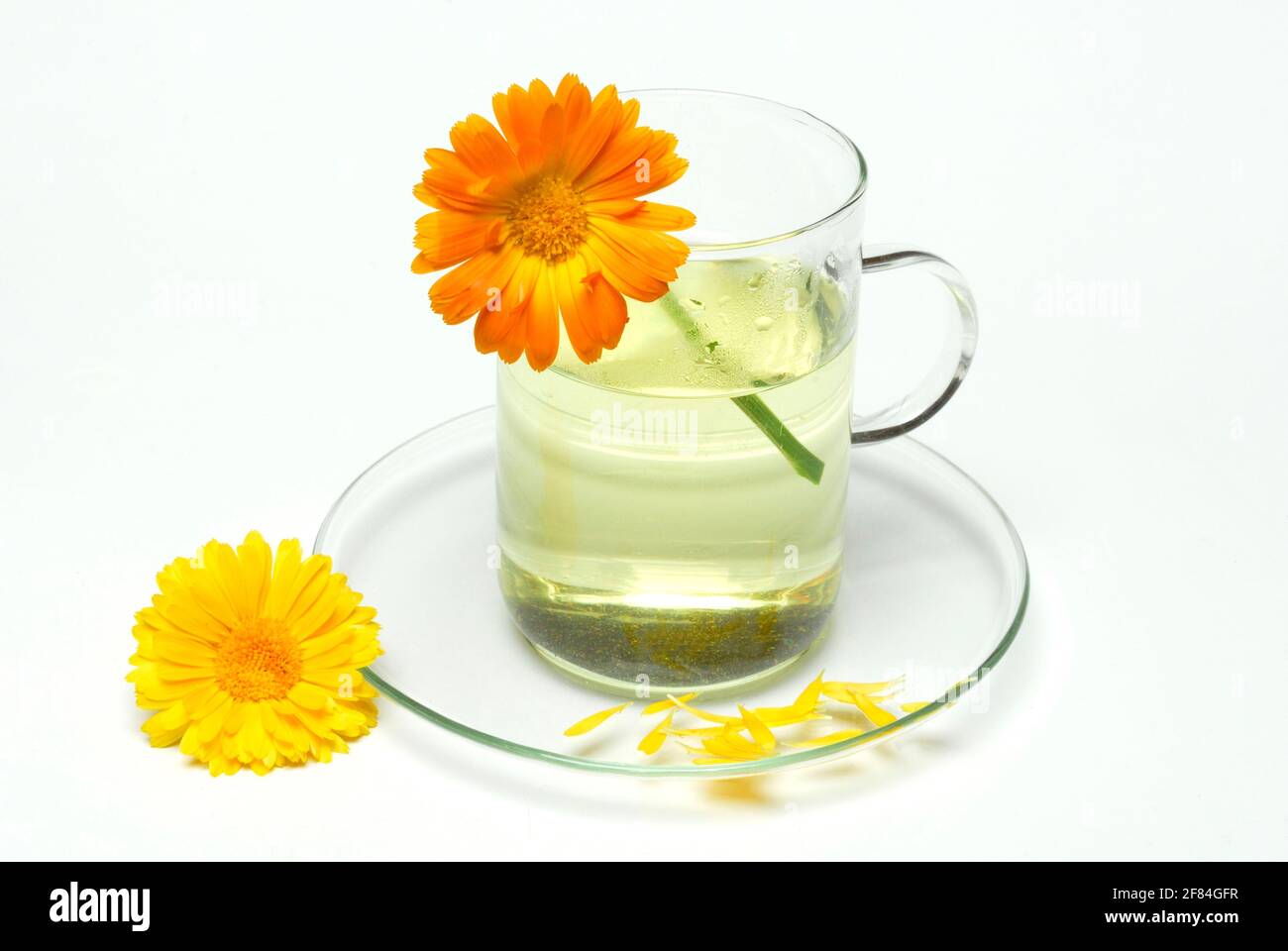 Tazza di tè, tè marigolds Foto Stock