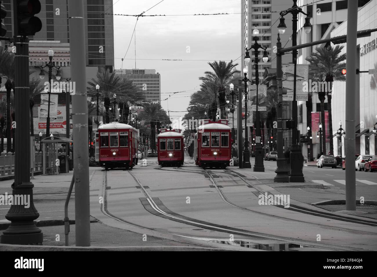 Tram su Canal Street, New Orleans Foto Stock