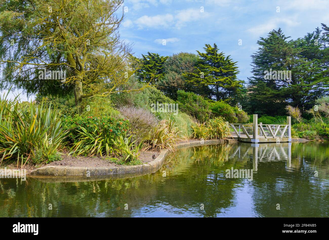 Scena di paesaggio di verde e di un legno piattaforma di visualizzazione da un piccolo lago in estate nel parco Mewsbrook, Littlehampton, West Sussex, in Inghilterra, Regno Unito. Foto Stock