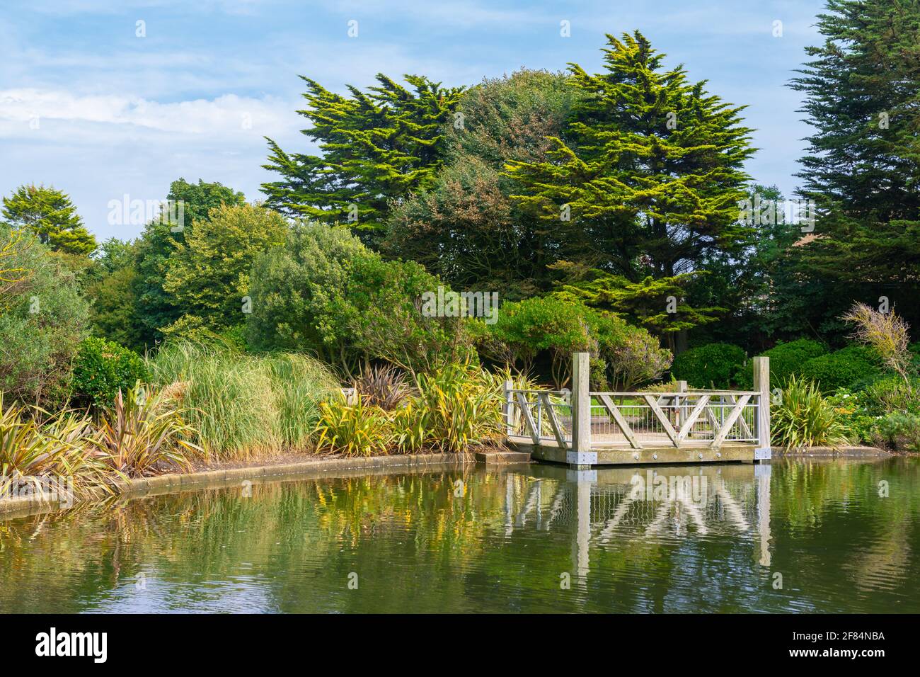 Scena di paesaggio di verde e di un legno piattaforma di visualizzazione da un piccolo lago in estate nel parco Mewsbrook, Littlehampton, West Sussex, in Inghilterra, Regno Unito. Foto Stock