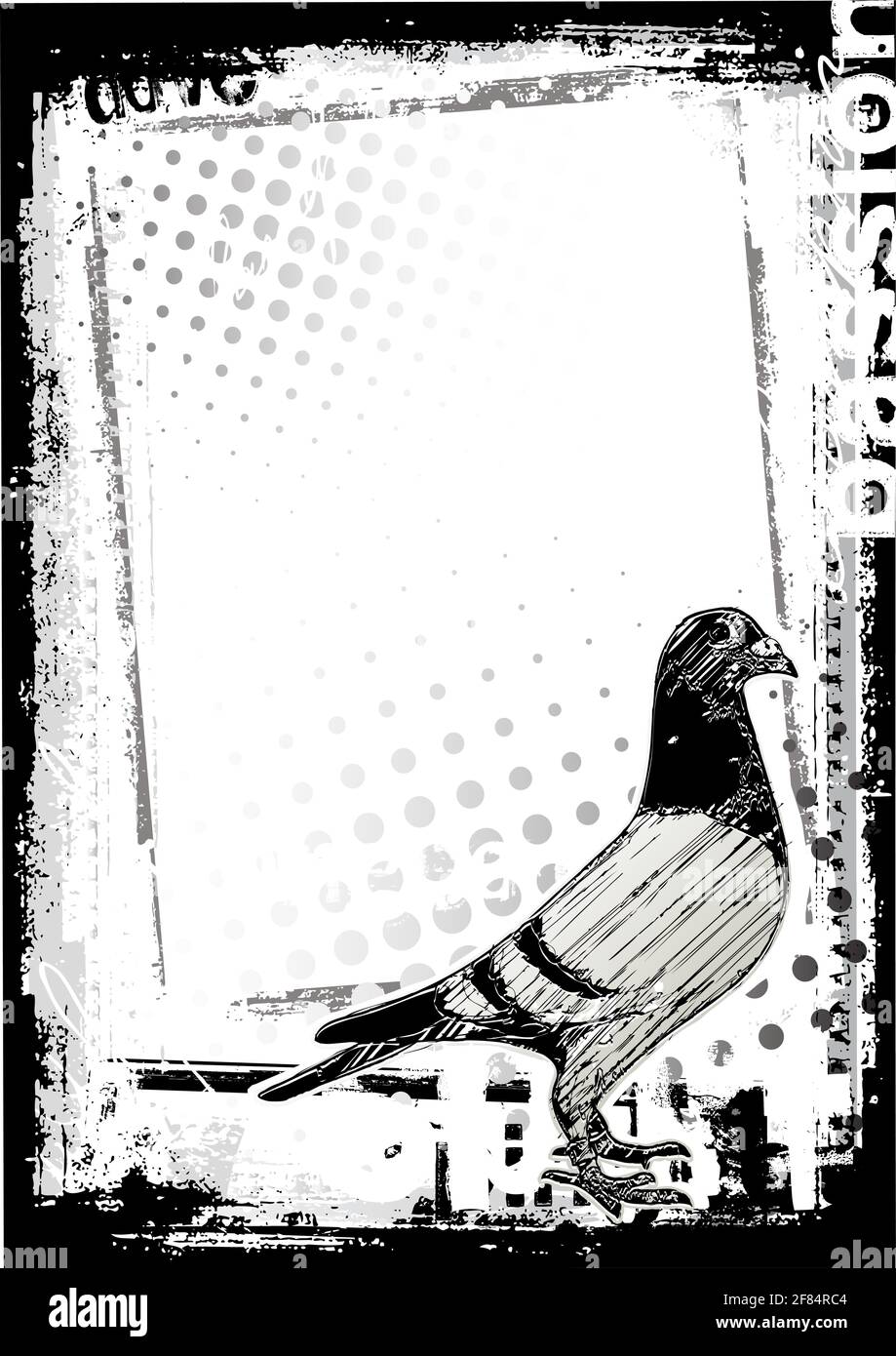 sfondo poster pigeon Illustrazione Vettoriale