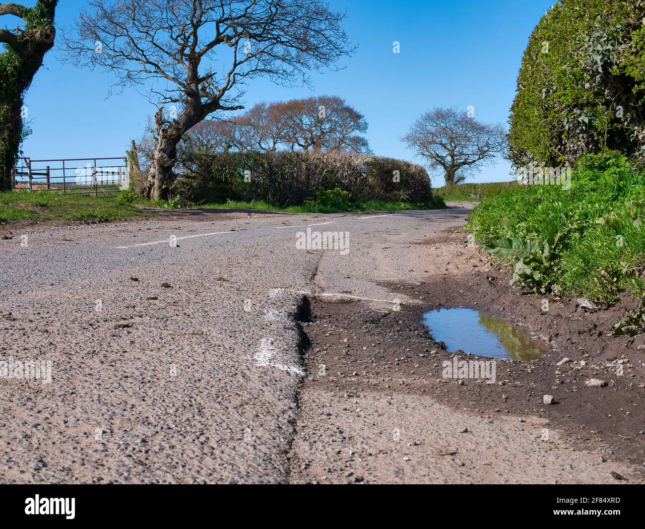 I danni alla superficie del asfalto su una strada rurale sono contrassegnati per la riparazione con vernice spray bianca. Preso su Wirral nel Regno Unito in una giornata di sole in primavera. Foto Stock