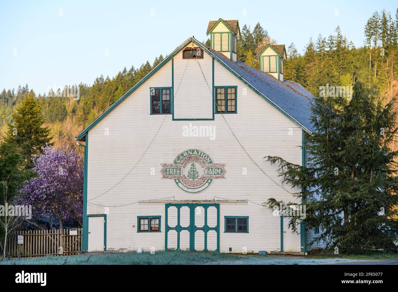 Storico fienile verde e bianco presso la Fattoria degli alberi di garofano Nella Valle di Snoqualmie dello Stato di Washington Occidentale su un mattina di primavera limpida e gelida Foto Stock