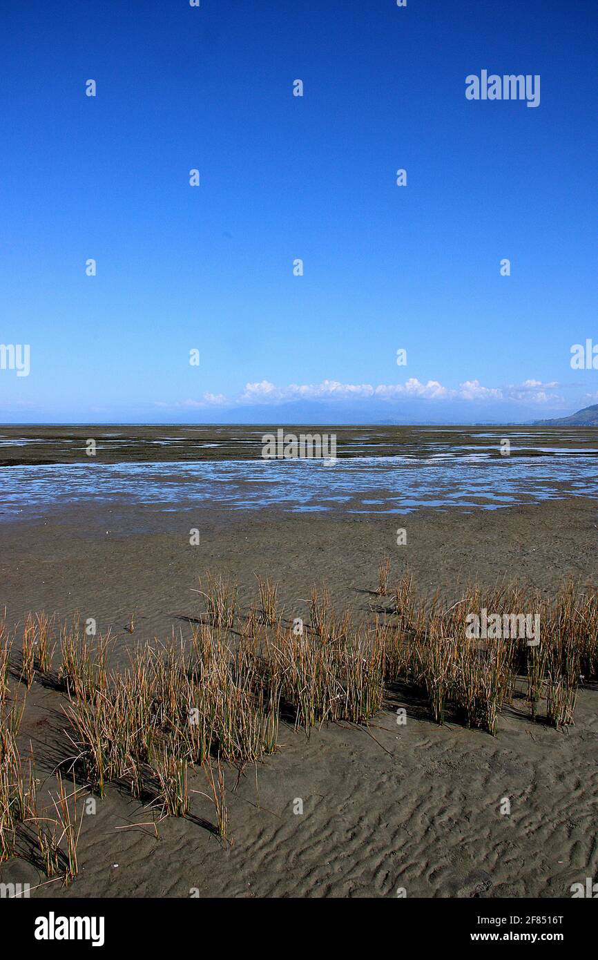 Addio Spit mudflats, a Puponga Golden Bay, Nuova Zelanda Foto Stock