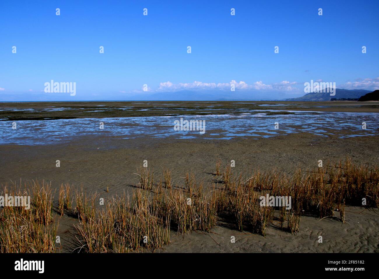 Addio Spit mudflats, a Puponga Golden Bay, Nuova Zelanda Foto Stock