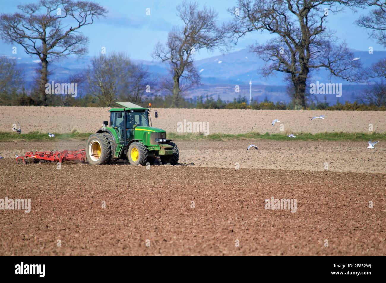 Campo di coltivazione del trattore John Deere in preparazione per il raccolto di cereali semina Foto Stock