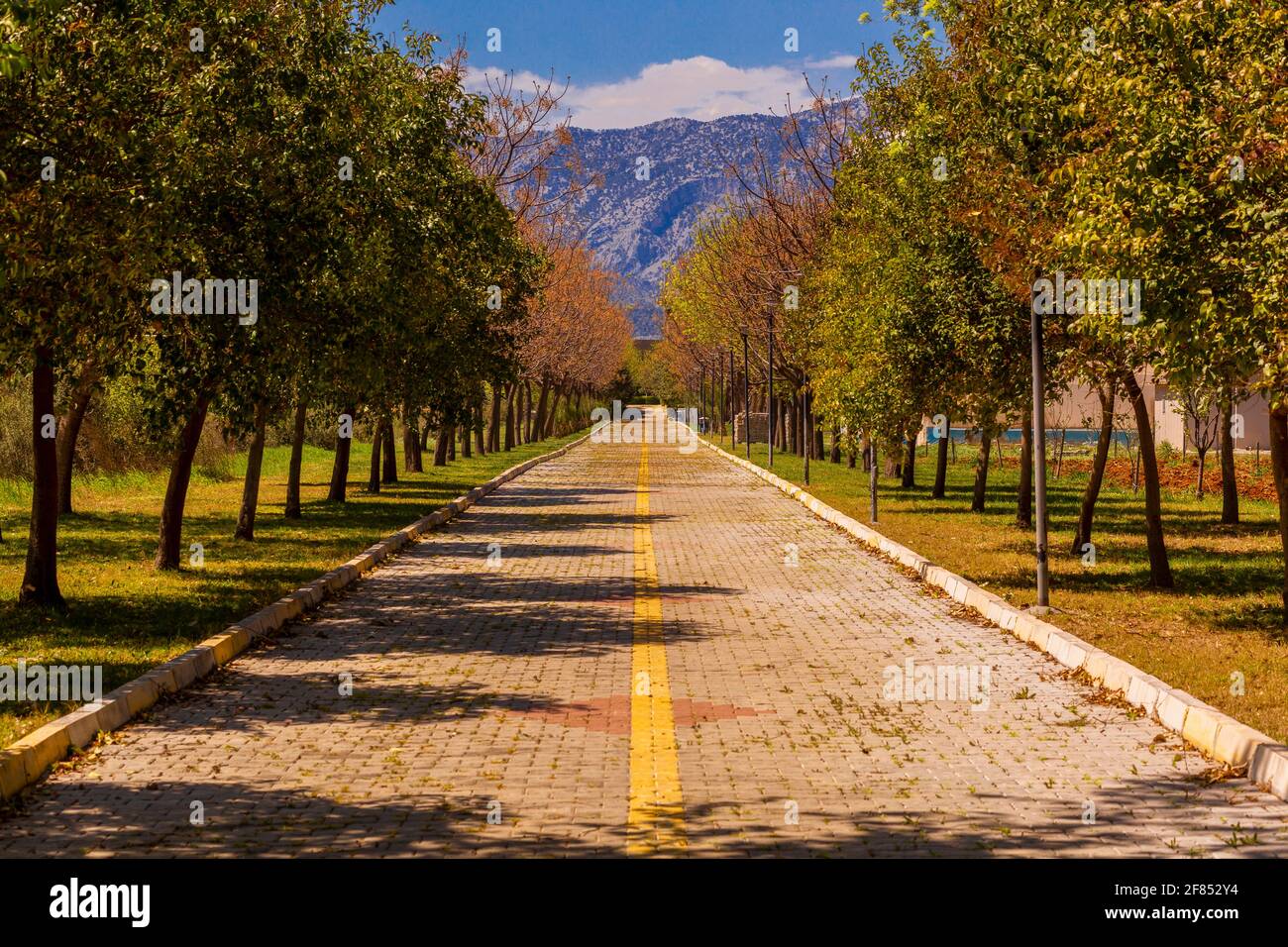 Lunga e sottile strada acciottolata con alberi su entrambi i lati In Turchia Foto Stock