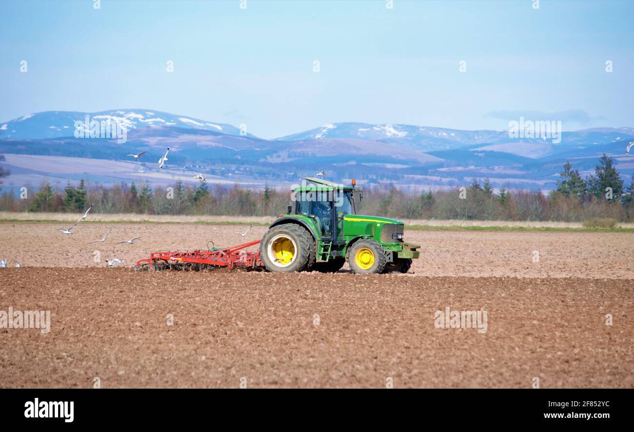 Campo di coltivazione del trattore John Deere in preparazione per il raccolto di cereali semina Foto Stock