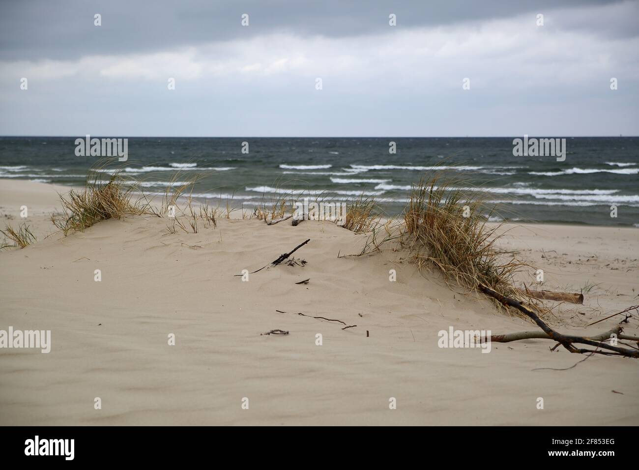 Paesaggio con spiaggia sabbiosa, duna con rara erba secca, Mar Baltico, onde, orizzonte, cielo nuvoloso, basse temperature. Foto Stock