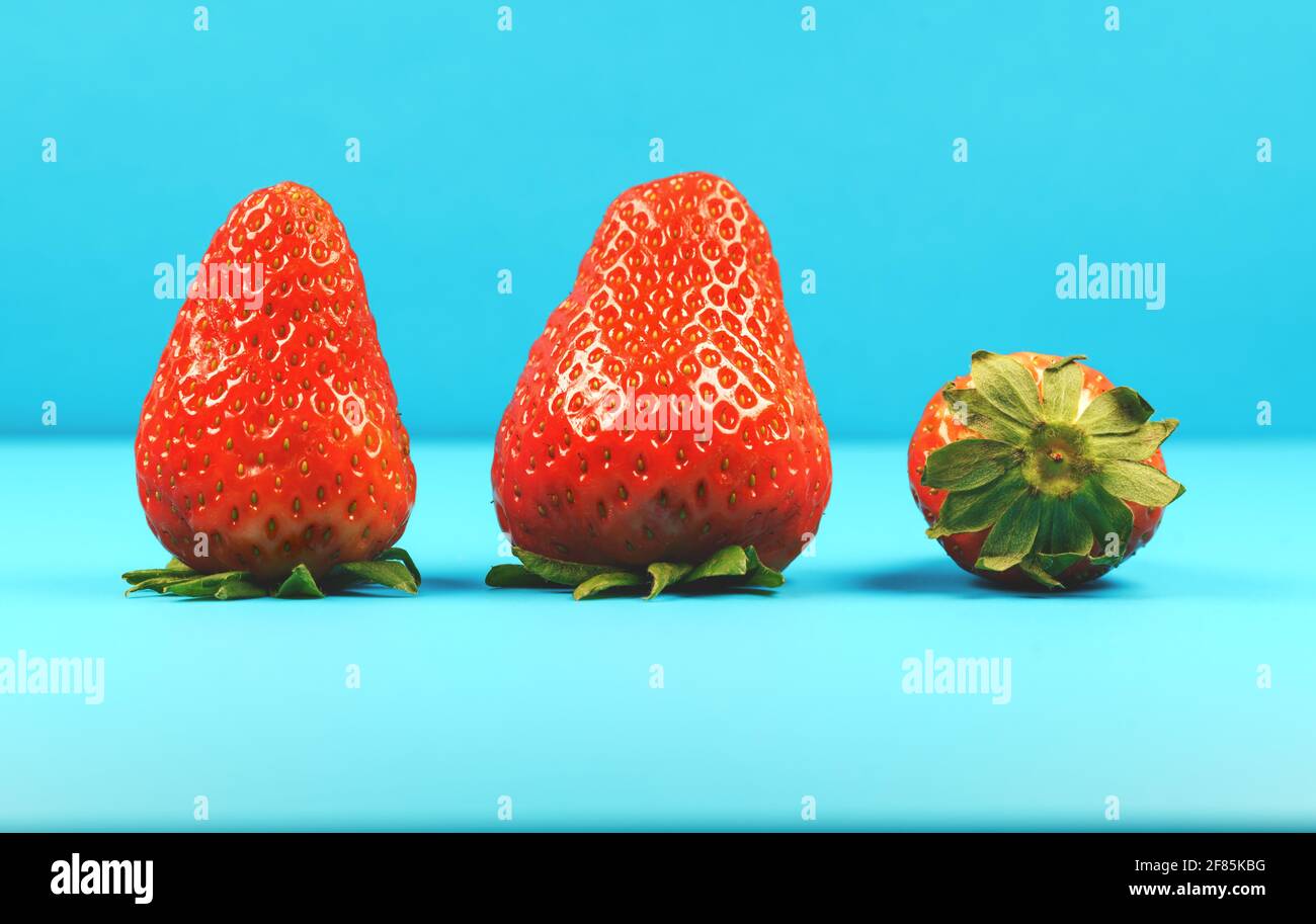 Primo piano di tre fragole rosse fresche su sfondo turchese simbolo dell'estate e della felicità Foto Stock
