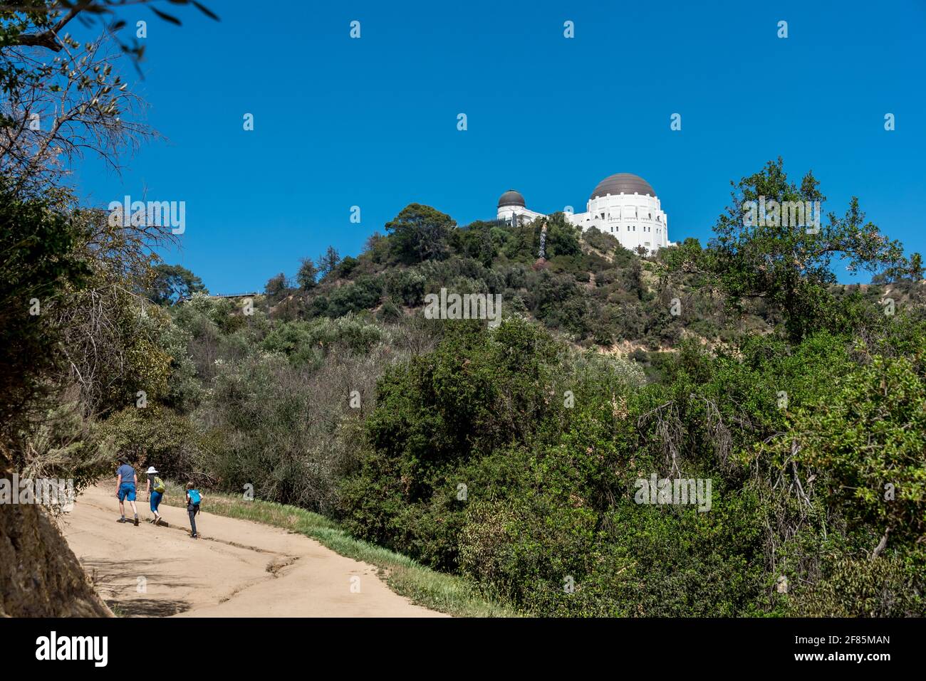 Un padre e due bambini camminano sulla collina fino al Griffith Observatory sulla pista ovest in una bella giornata in questo spazio aperto e destinazione turistica di Los Angeles. Foto Stock