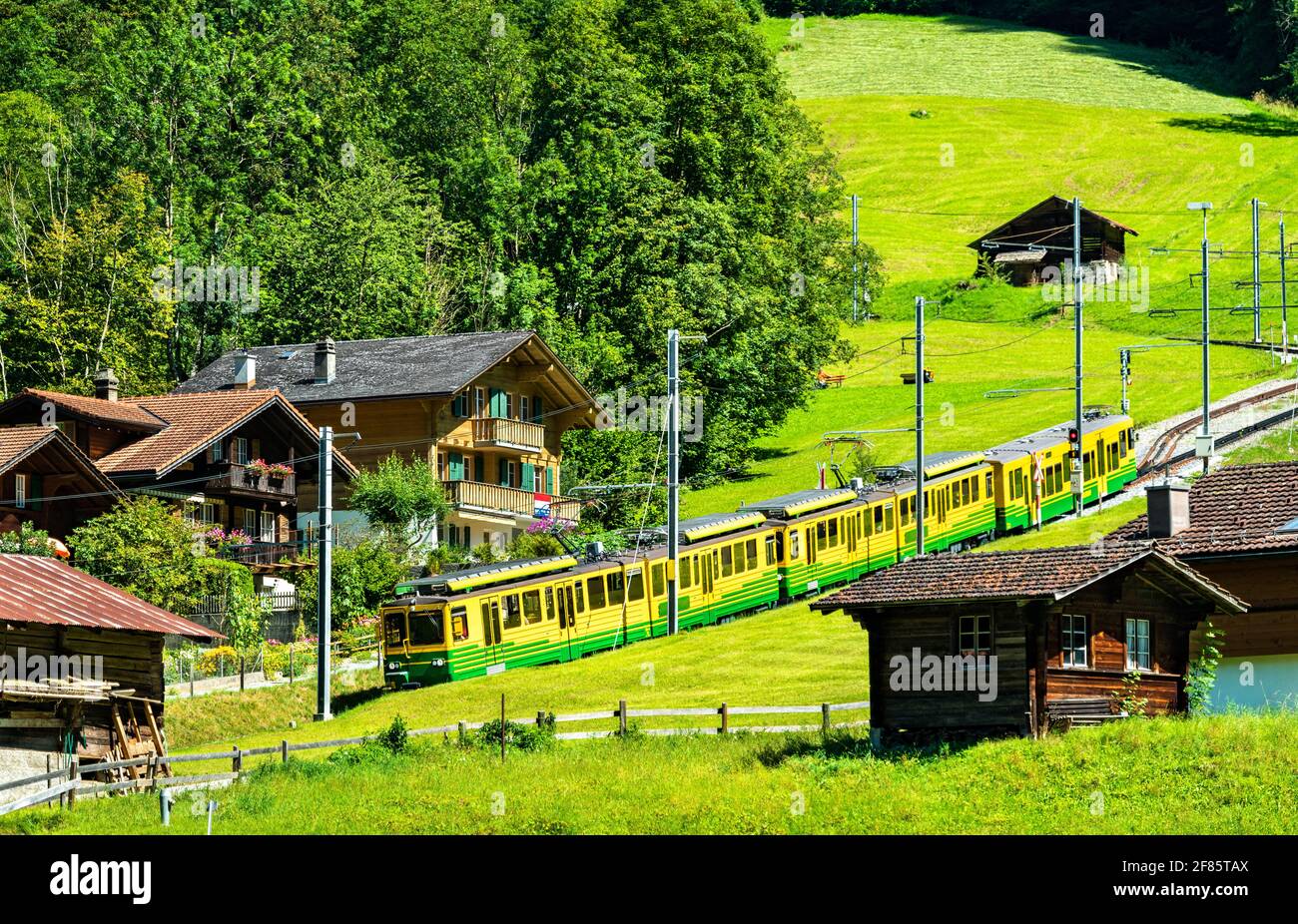 Treno sulla ferrovia di Wengernalp a Lauterbrunnen, Svizzera Foto Stock