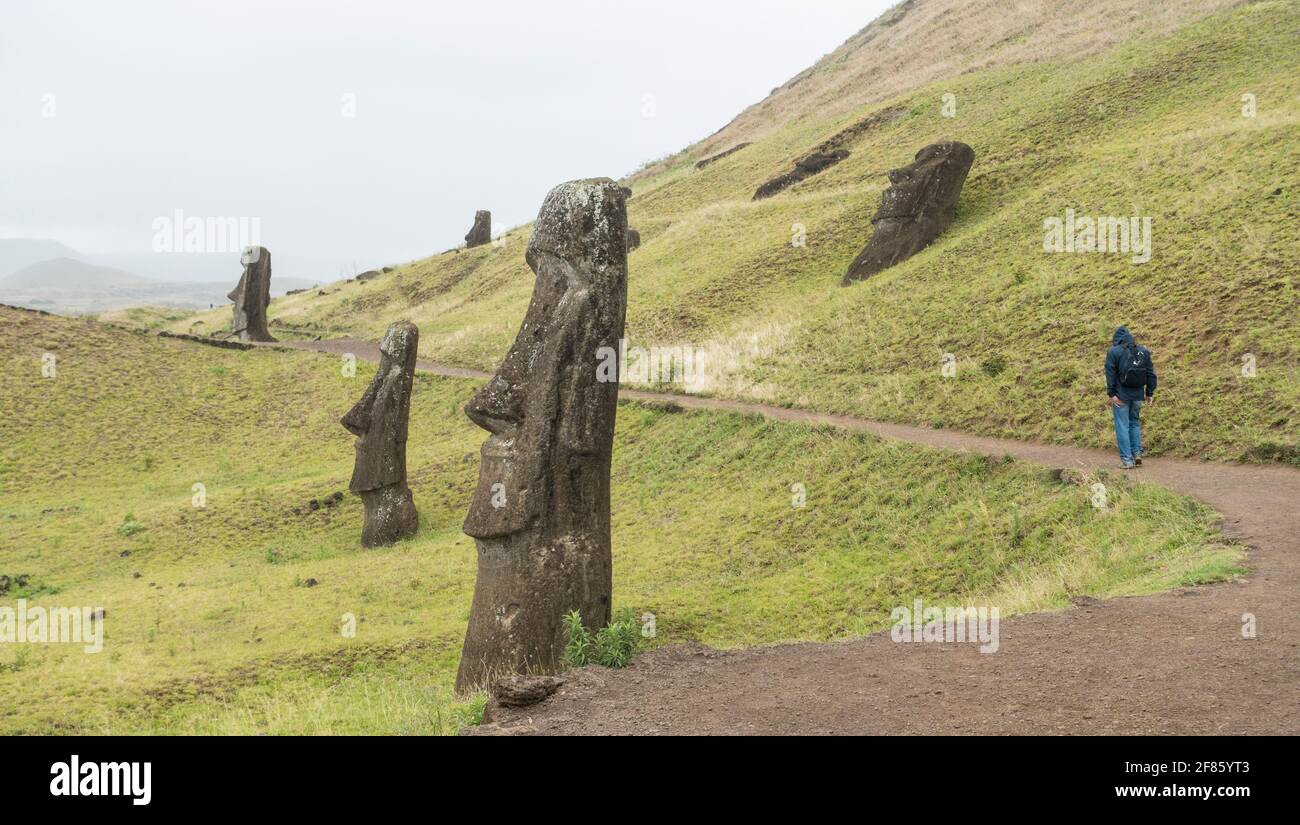 L'uomo cammina tra statue di pietra moai nella cava di Rano Raraku sull'isola di Pasqua, Cile Foto Stock
