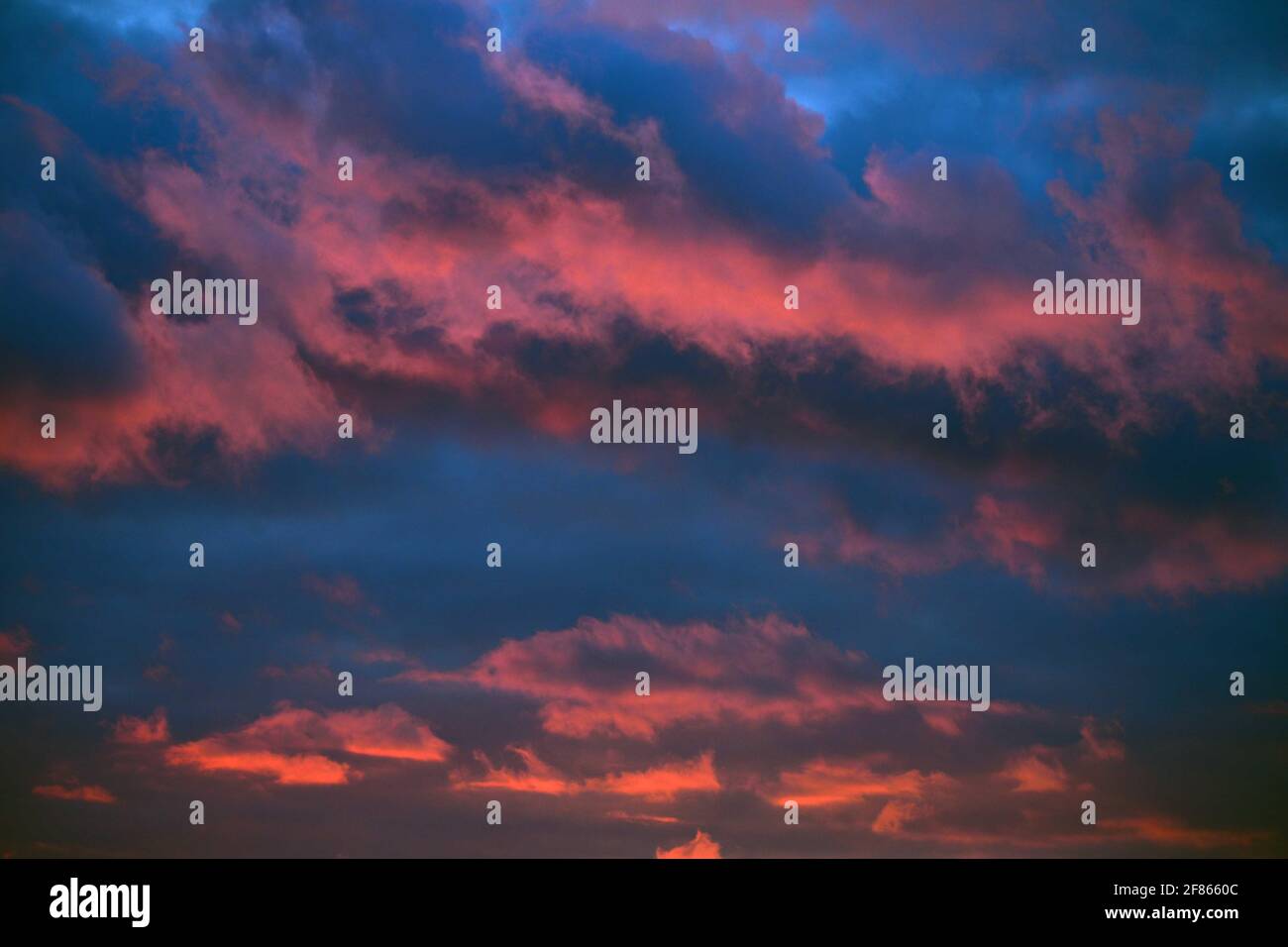 È una fotografia di un cielo colorato e dominante dell'Illinois in una serata invernale. Foto Stock