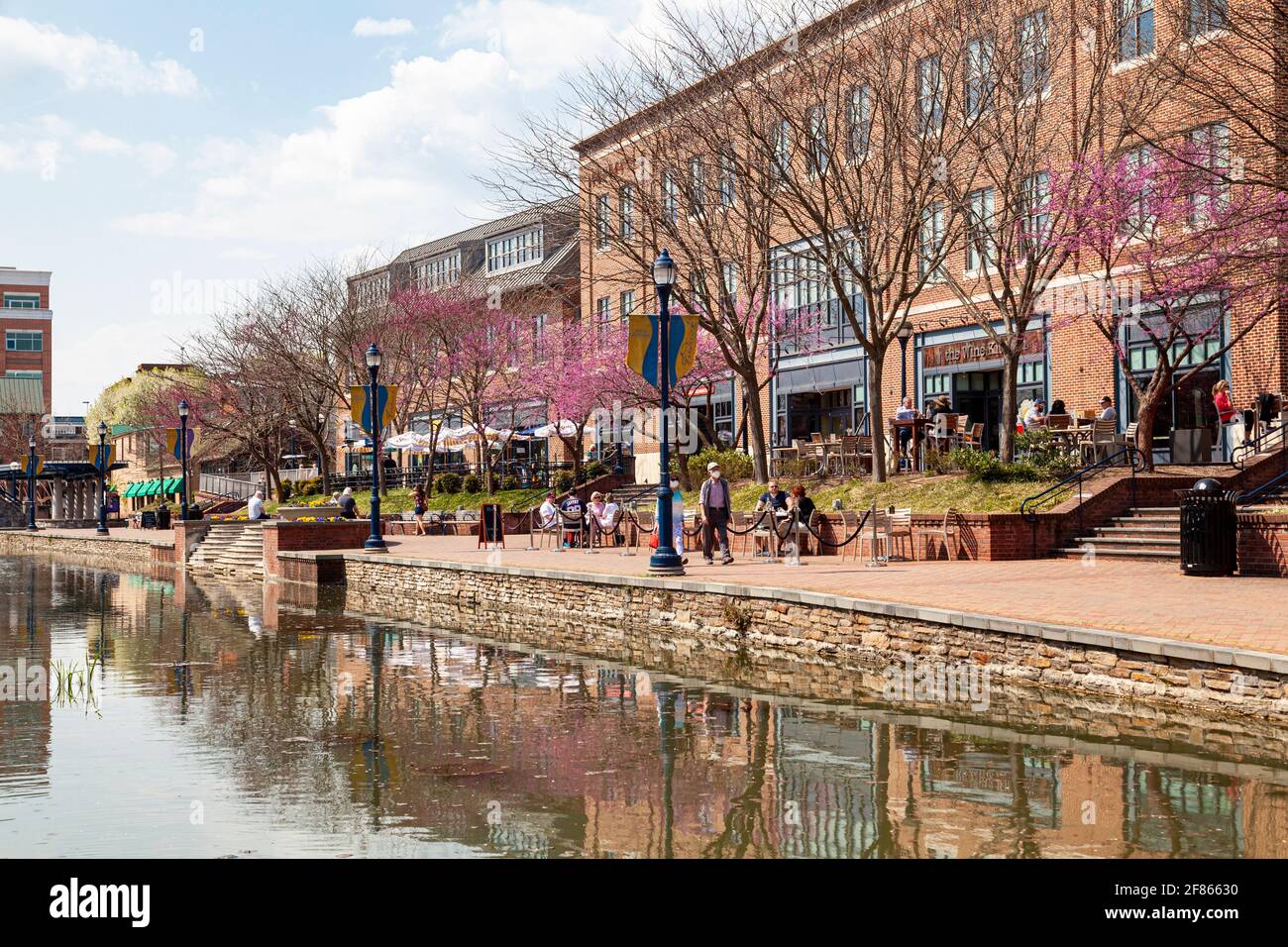 Frederick, MD, USA 04-07-2021: Vista di primavera di giorno del popolare parco cittadino chiamato Carroll Creek Park nel quartiere storico di Frederick con negozi e. Foto Stock
