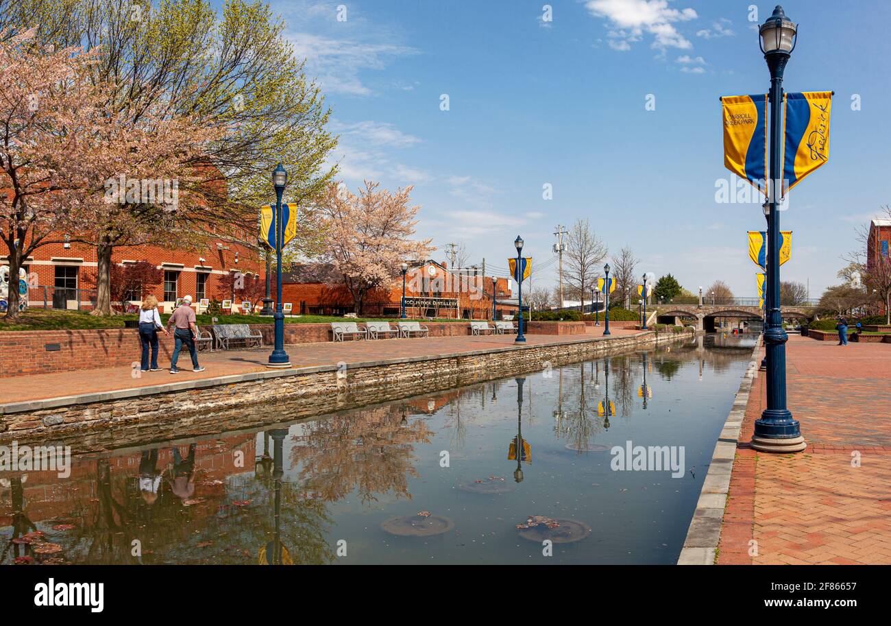 Frederick, MD, USA 04-07-2021: Vista di primavera di giorno del popolare parco cittadino chiamato Carroll Creek Park nel quartiere storico di Frederick con negozi e. Foto Stock