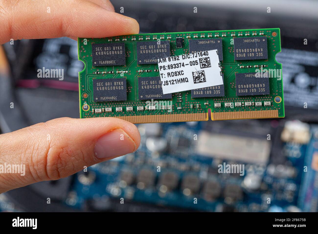 Primo piano immagine isolata che mostra un tecnico IT o un cliente che tiene la scheda RAM in mano con un notebook aperto visto sullo sfondo. Concetto i Foto Stock