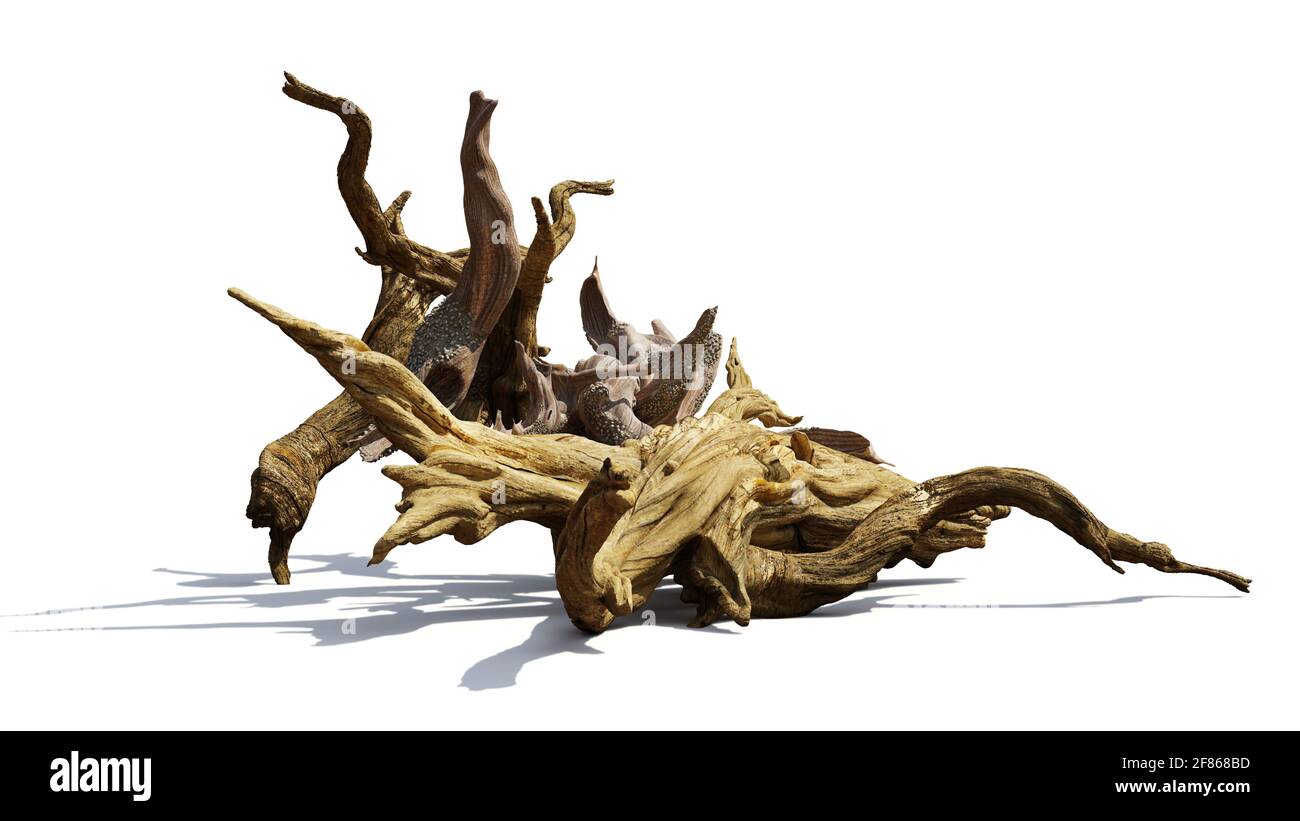 driftwood, mucchio di rami invecchiati isolato su sfondo bianco Foto Stock