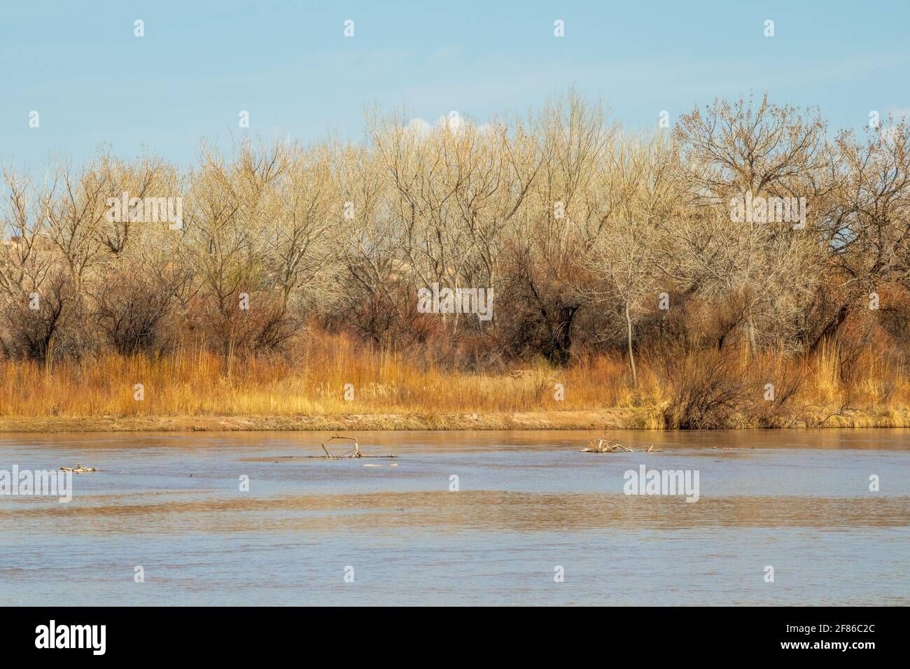 Il fiume Rio Grande nel Rio Grande Nature Center state Park, Albuquerque, New Mexico Foto Stock