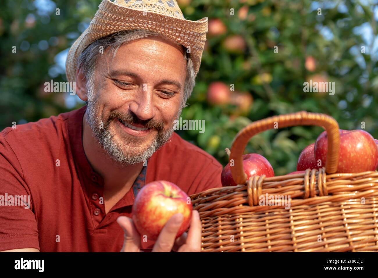 Carismatico agricoltore maturo con cappello che tiene la mela rossa. Concetto di cibo sano. Coltivatore che raccoglie le mele in un frutteto. Foto Stock