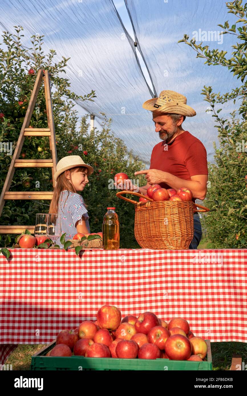 Padre insegnando la sua piccola figlia circa il processo biologico di preparazione del succo di mela. Concetto di cibo sano. Contadino e sua figlia che raccolgono le mele. Foto Stock