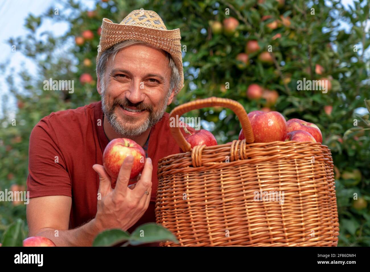 Carismatico agricoltore maturo con cappello che tiene la mela rossa. Concetto di cibo sano. Coltivatore che raccoglie le mele in un frutteto. Foto Stock