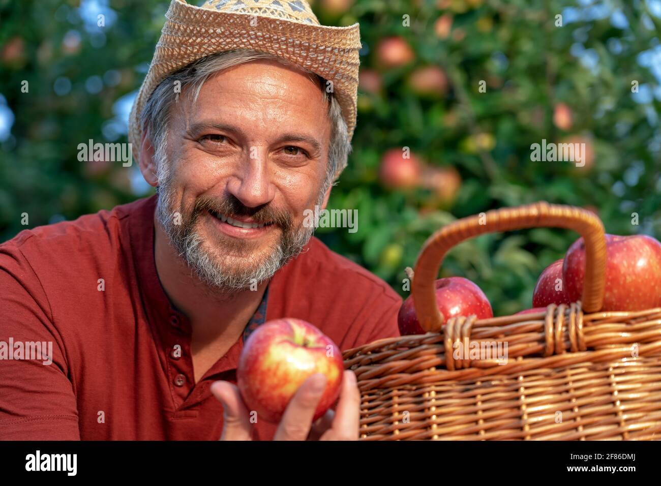 Buon contadino con un cestino di appetitose mele rosse guardando la fotocamera. Concetto di cibo sano. Coltivatore che raccoglie le mele in un frutteto. Foto Stock