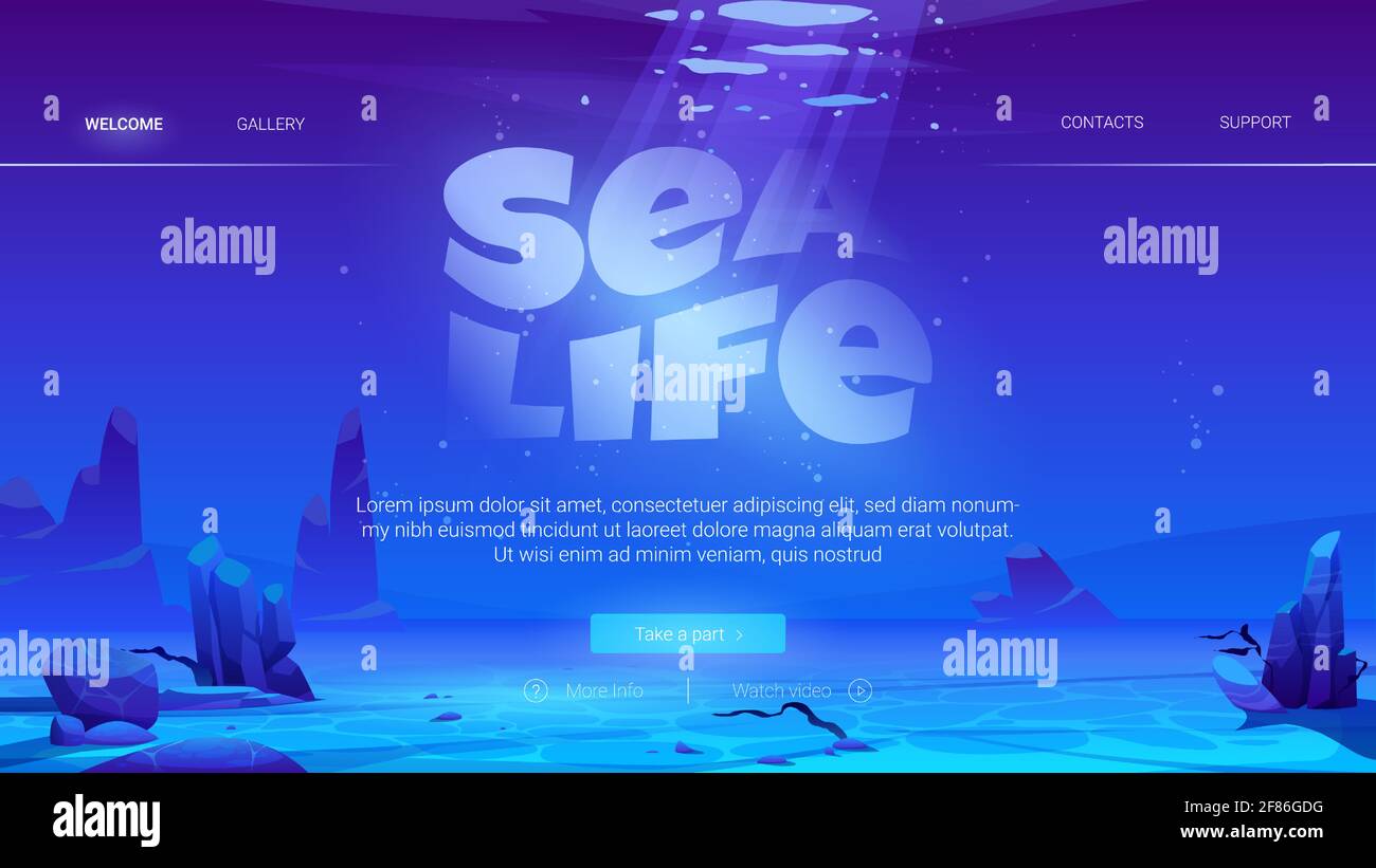 Sea LIFE cartoon Landing page con oceano sfondo subacqueo. Fondo sabbioso vuoto con rocce e bolle d'aria che galleggiano al fascio di luce solare che cade dall'alto. Banner Web vettoriale per l'area sottomarina Illustrazione Vettoriale Sea LIFE cartoon Landing page con oceano sfondo subacqueo. Fondo sabbioso vuoto con rocce e bolle d'aria che galleggiano al fascio di luce solare che cade dall'alto. Banner Web vettoriale per l'area sottomarina Illustrazione Vettoriale