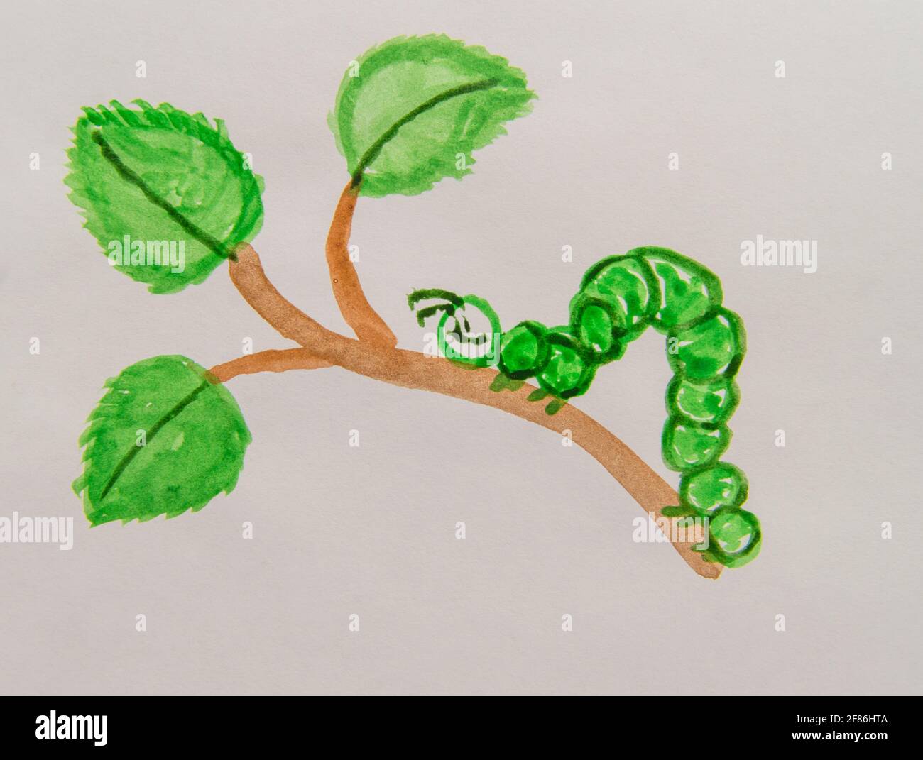 Green caterpillar strisciando su un ramo con una foglia, simpatico disegno acquerello per bambini. Foto Stock