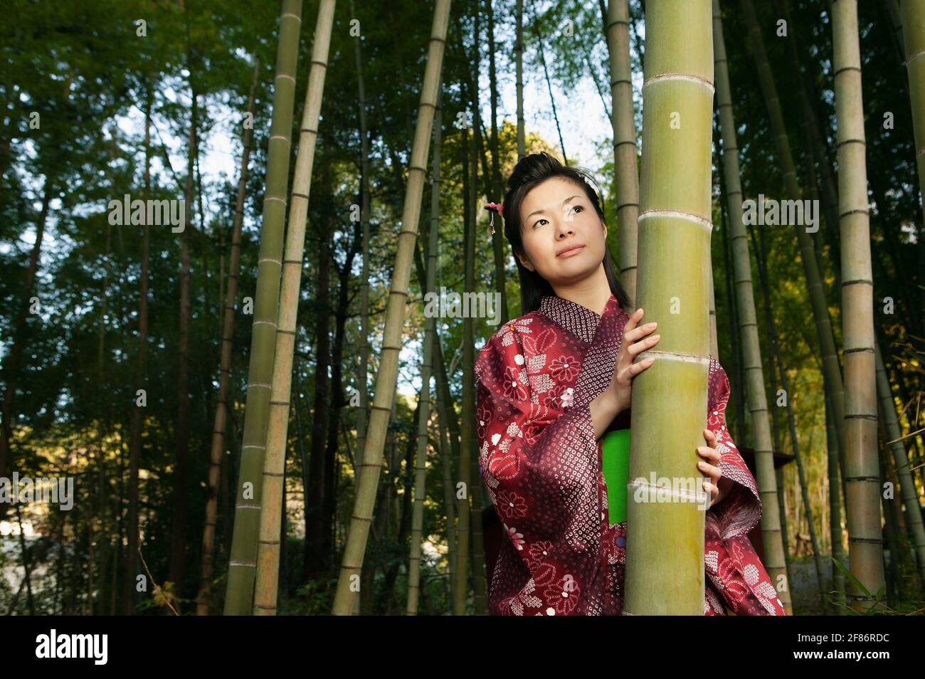 Ritratto bella giovane curiosa donna in kimono giapponese tra bambù alberi Foto Stock