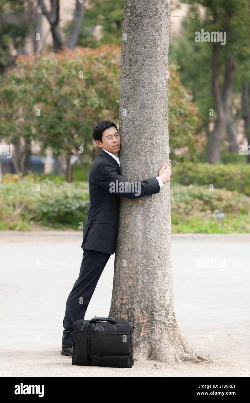 Uomo d'affari sereno in vestito abbaiare albero nel parco Foto Stock